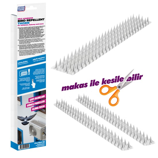 full_screen-image